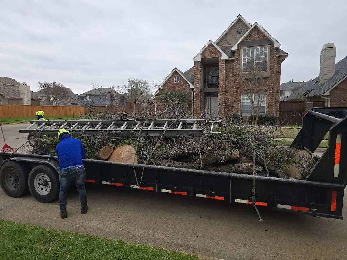 Expert Tree Fertilization with proper safety equipment in Big Laurel